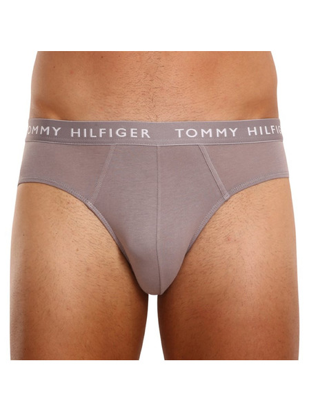 Tommy Hilfiger Set od tri - muške gaće Tommy Hilfiger šarene