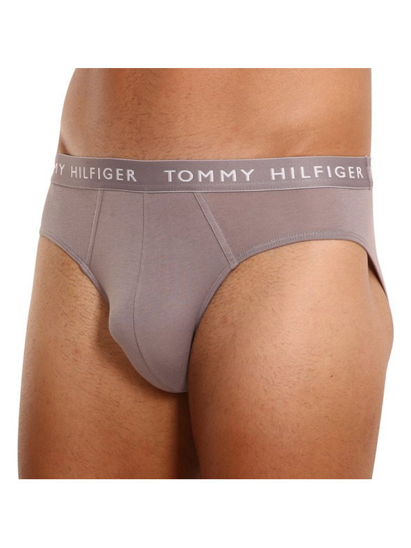 Tommy Hilfiger Set od tri - muške gaće Tommy Hilfiger šarene