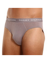 Tommy Hilfiger Set od tri - muške gaće Tommy Hilfiger šarene