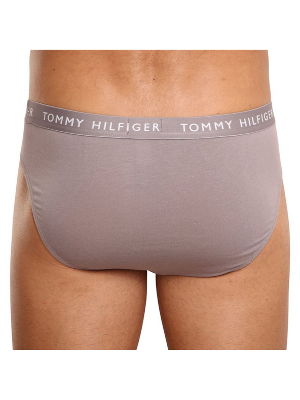 Tommy Hilfiger Set od tri - muške gaće Tommy Hilfiger šarene