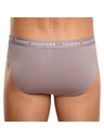 Tommy Hilfiger Set od tri - muške gaće Tommy Hilfiger šarene