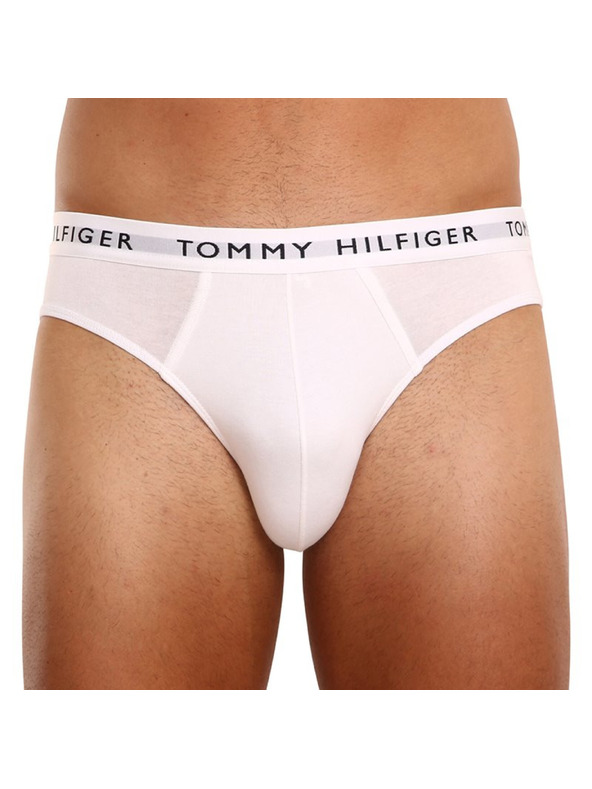Tommy Hilfiger Set od tri - muške gaće Tommy Hilfiger šarene
