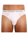 Tommy Hilfiger Set od tri - muške gaće Tommy Hilfiger šarene