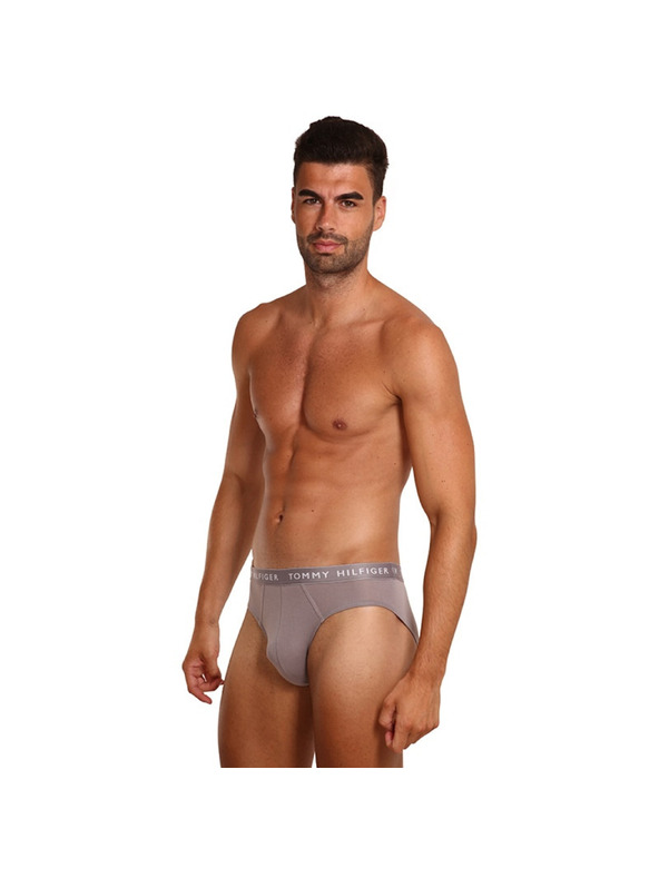 Tommy Hilfiger Set od tri - muške gaće Tommy Hilfiger šarene