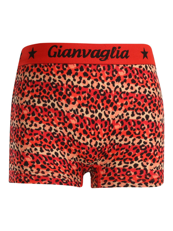Gianvaglia Komplet pet - dječje gaćice s nohavicama bokserice Gianvaglia višebojna