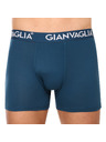 Gianvaglia Set od pet - muške bokserice Gianvaglia višebojna