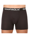Gianvaglia Set od pet - muške bokserice Gianvaglia višebojna