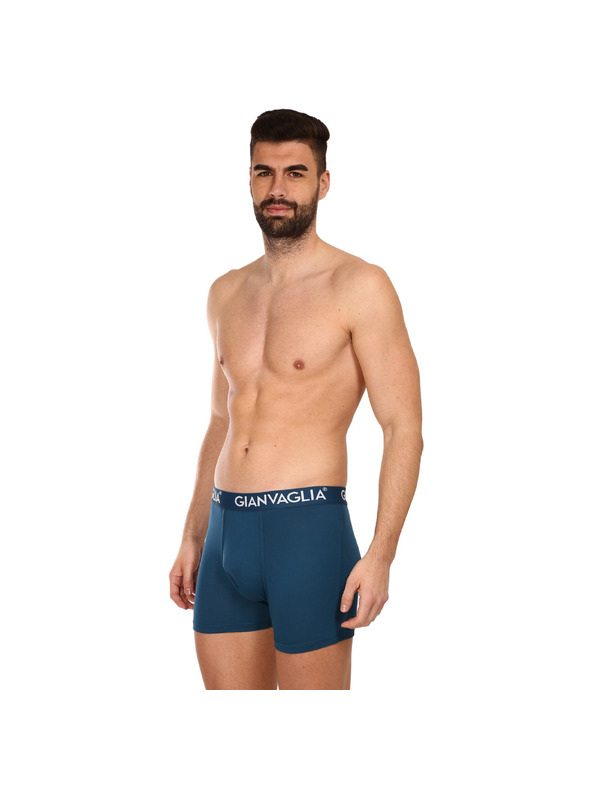 Gianvaglia Set od pet - muške bokserice Gianvaglia višebojna