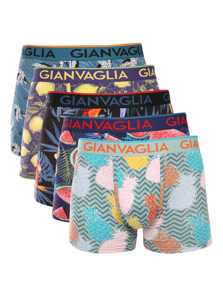Gianvaglia Set od pet - muške bokserice Gianvaglia višebojna