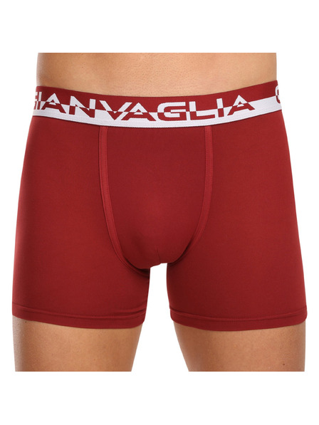 Gianvaglia Set od pet - muške bokserice Gianvaglia višebojna