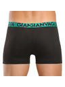 Gianvaglia Set od deset - muške bokserice Gianvaglia crne