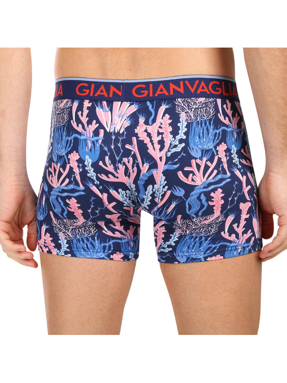 Gianvaglia Set od pet - muške bokserice Gianvaglia višebojna