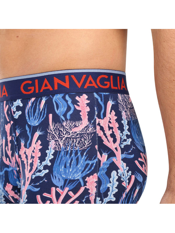 Gianvaglia Set od pet - muške bokserice Gianvaglia višebojna