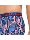 Gianvaglia Set od pet - muške bokserice Gianvaglia višebojna