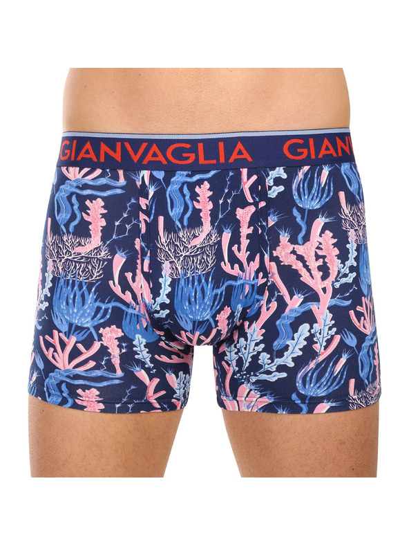 Gianvaglia Set od pet - muške bokserice Gianvaglia višebojna
