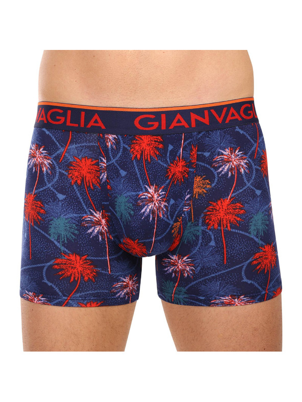 Gianvaglia Set od pet - muške bokserice Gianvaglia višebojna