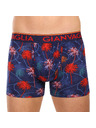 Gianvaglia Set od pet - muške bokserice Gianvaglia višebojna
