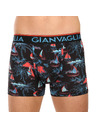 Gianvaglia Set od pet - muške bokserice Gianvaglia višebojna
