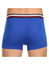 Tommy Hilfiger Set od tri - muške boxerice Tommy Hilfiger višebojne