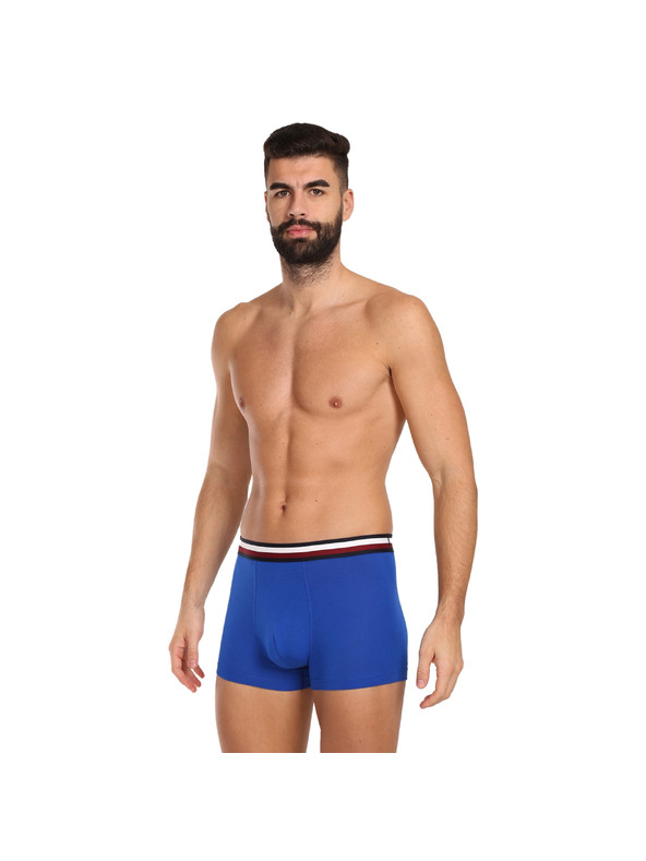 Tommy Hilfiger Set od tri - muške boxerice Tommy Hilfiger višebojne