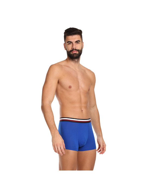 Tommy Hilfiger Set od tri - muške boxerice Tommy Hilfiger višebojne