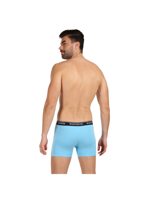 Wooster Set od tri - muške bokserice Wooster šarene