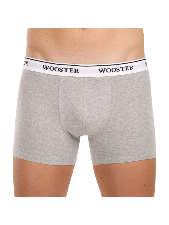 Wooster Set od tri - muške bokserice Wooster šarene