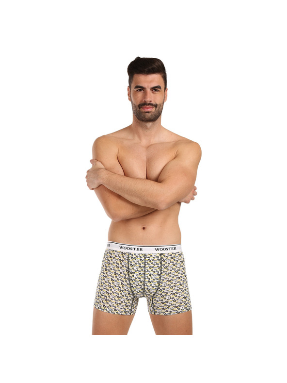 Wooster Set od tri - muške bokserice Wooster šarene