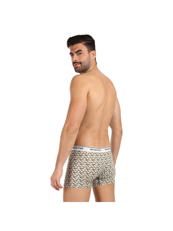 Wooster Set od tri - muške bokserice Wooster šarene