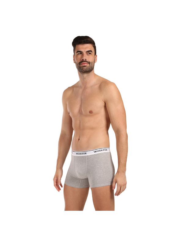 Wooster Set od tri - muške bokserice Wooster sive