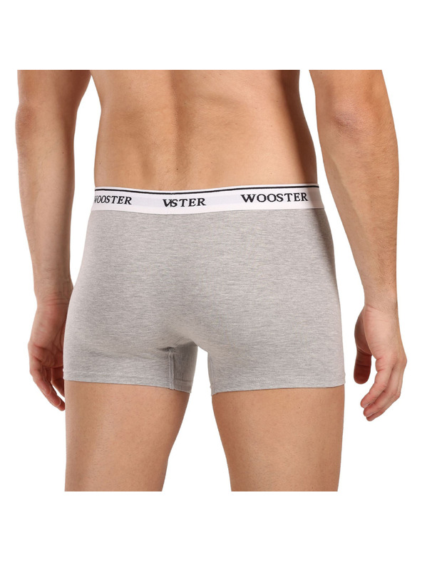Wooster Set od tri - muške bokserice Wooster sive