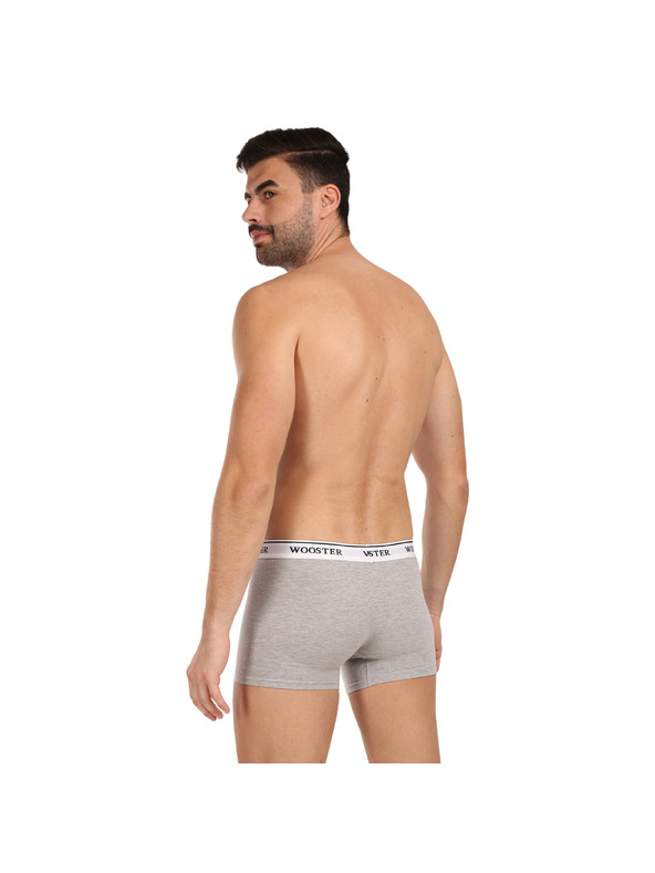 Wooster Set od tri - muške bokserice Wooster sive