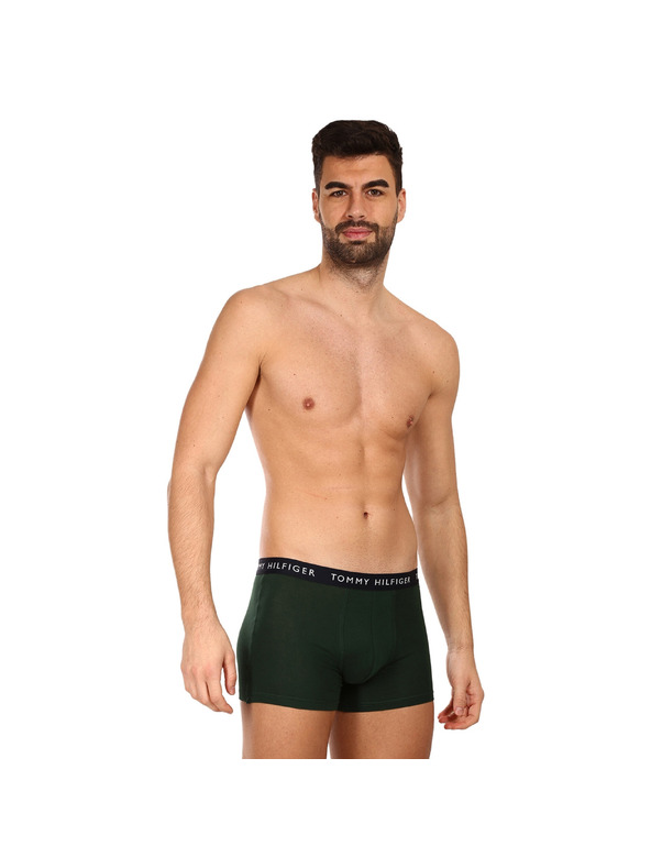 Tommy Hilfiger Underwear 3-pack Bokserice