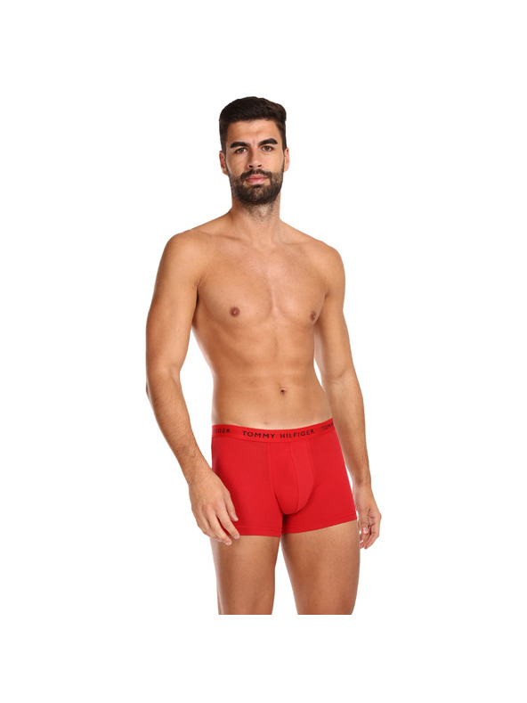 Tommy Hilfiger Underwear 3-pack Bokserice
