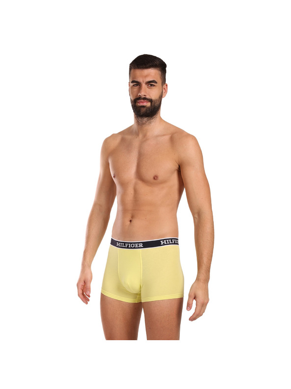 Tommy Hilfiger Underwear 3-pack Bokserice