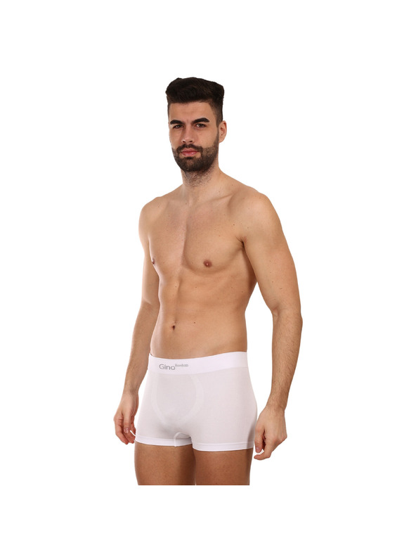 gino Bokserice