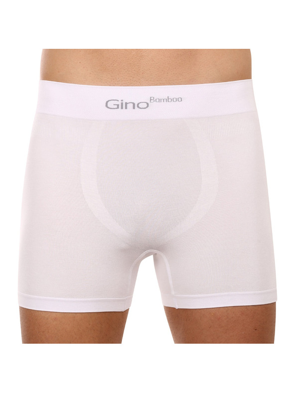 gino Bokserice
