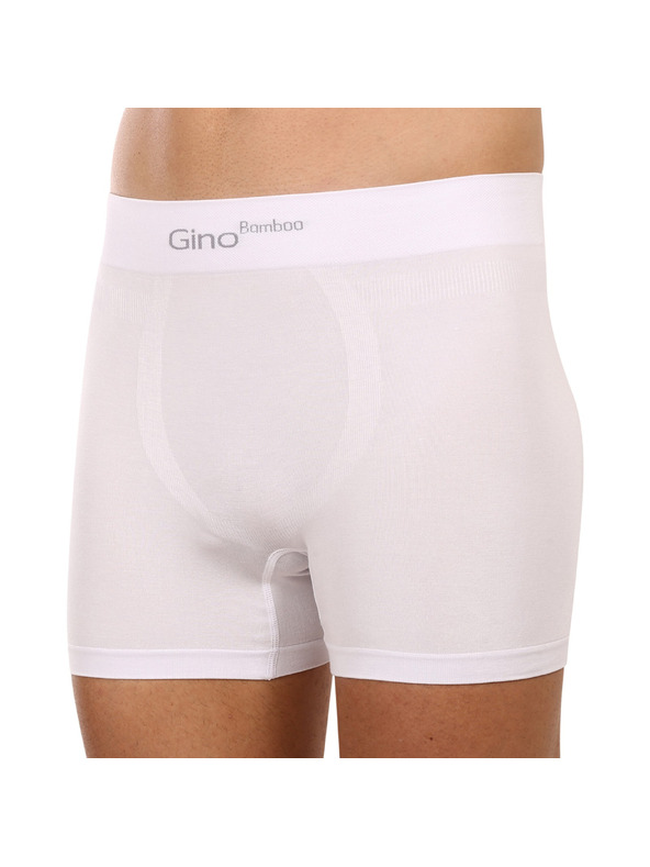 gino Bokserice