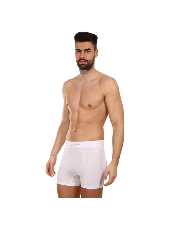 gino Bokserice