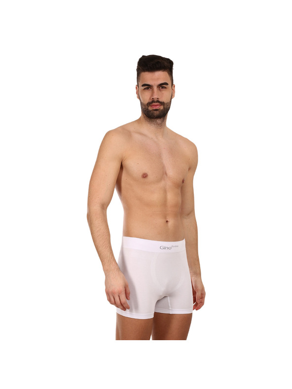 gino Bokserice