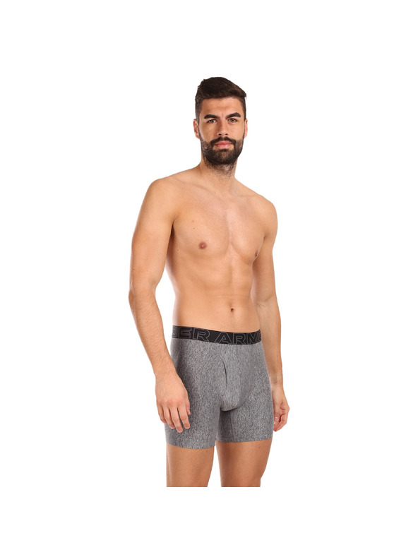 Under Armour Muške bokserice Under Armour M UA Perf Tech 6in (3 kom)