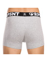 Represent Muške kratke hlače EXCLUSIVE SPORT GREY Represent