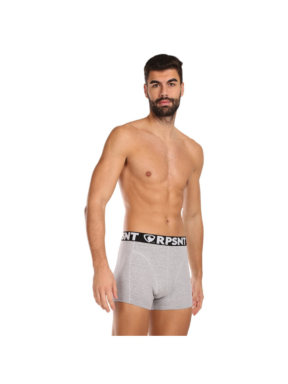 Represent Muške kratke hlače EXCLUSIVE SPORT GREY Represent