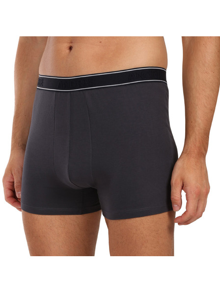 andrie Muški bokseri Andrie višebojna (PS 5828/dark black)
