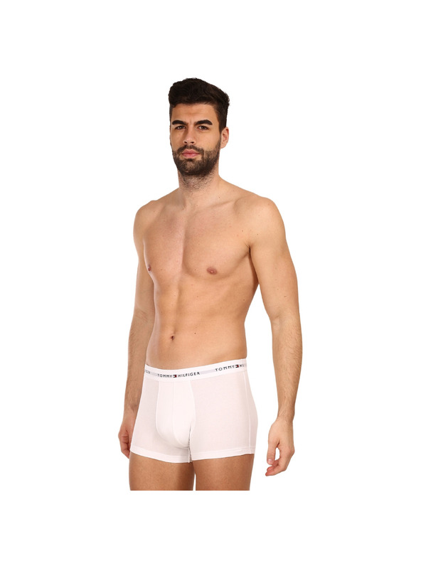 Tommy Hilfiger Underwear 3-pack Bokserice