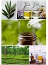 Caribbean Sun Čistilna sol za morske spužve Caribbean Sun Tea Tree 400 g