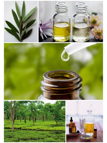 Caribbean Sun Čistilna sol za morske spužve Caribbean Sun Tea Tree 400 g