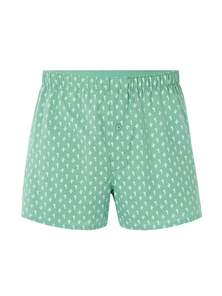 Celio Bokserice Liwocactus
