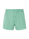 Celio Bokserice Liwocactus