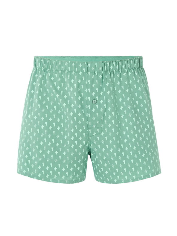 Celio Bokserice Liwocactus